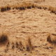 Círculos en Namibia. Indiana University-Purdue University Indianapolis